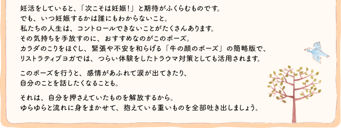 妊活をしていると「次こそは妊娠！」と期待がふくらむものです。でも、いつ妊娠するかは誰にもわからないこと。私たちの人生はコントロールできないことがたくさんあります。その気持ちを手放すのに、おすすめなのがこのポーズ。カラダのこりをほぐし、緊張や不安を和らげる「牛の顔のポーズ」の簡略版で、メディカルヨガでは、つらい体験をしたトラウマ対策としても活用されます。このポーズを行うと、感情があふれて波が出てきたり、自分のことを話したくなることも。それは、自分を押さえていたものを開放するから。ゆらゆらと流れに身をまかせて、抱えている重いものを全部吐き出しましょう。 